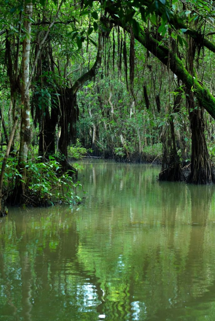 Tourist Spots in Sylhet Bangladesh